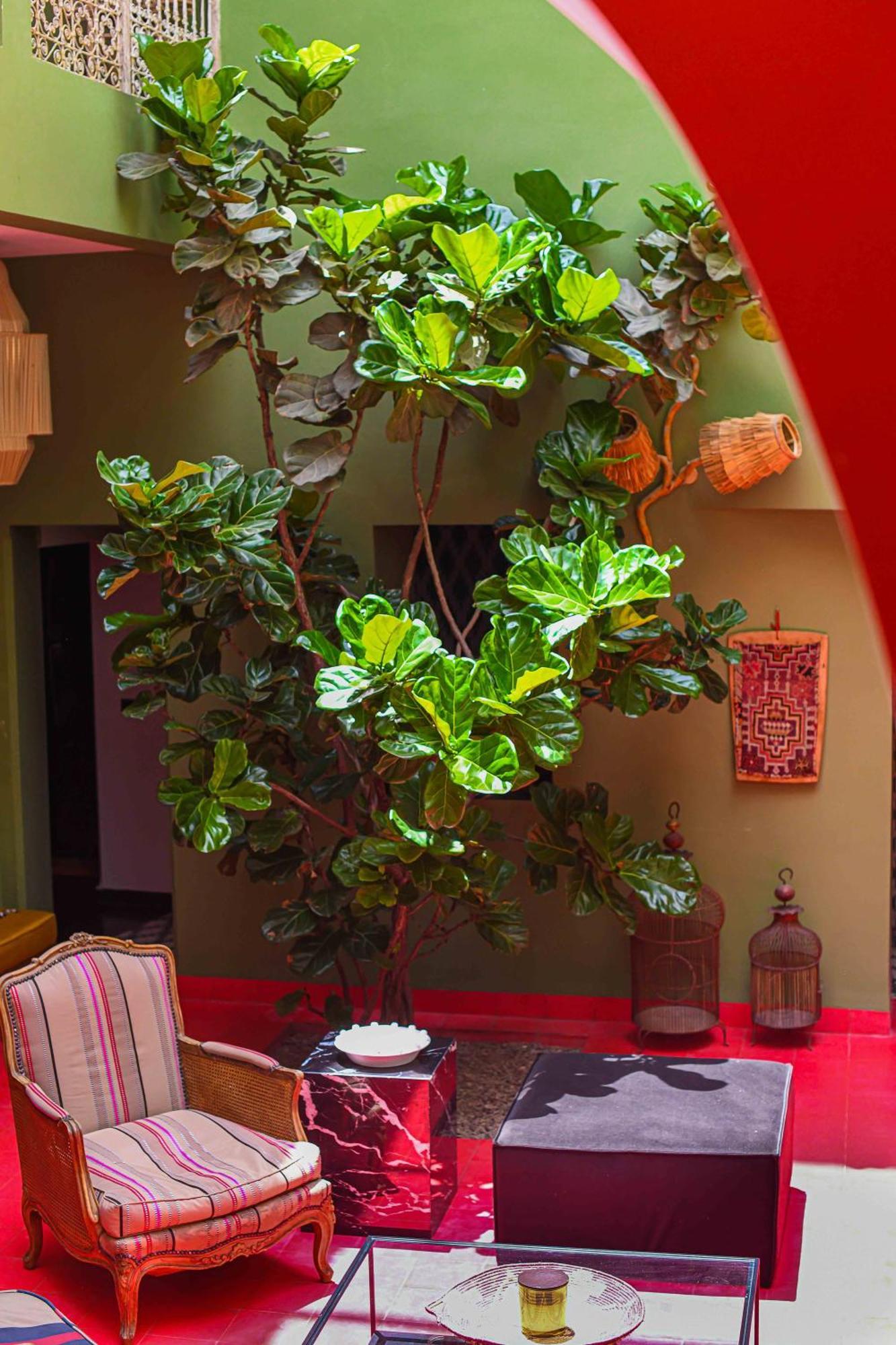 马拉喀什 Riad Olive Privatif 4 Personnes酒店 外观 照片