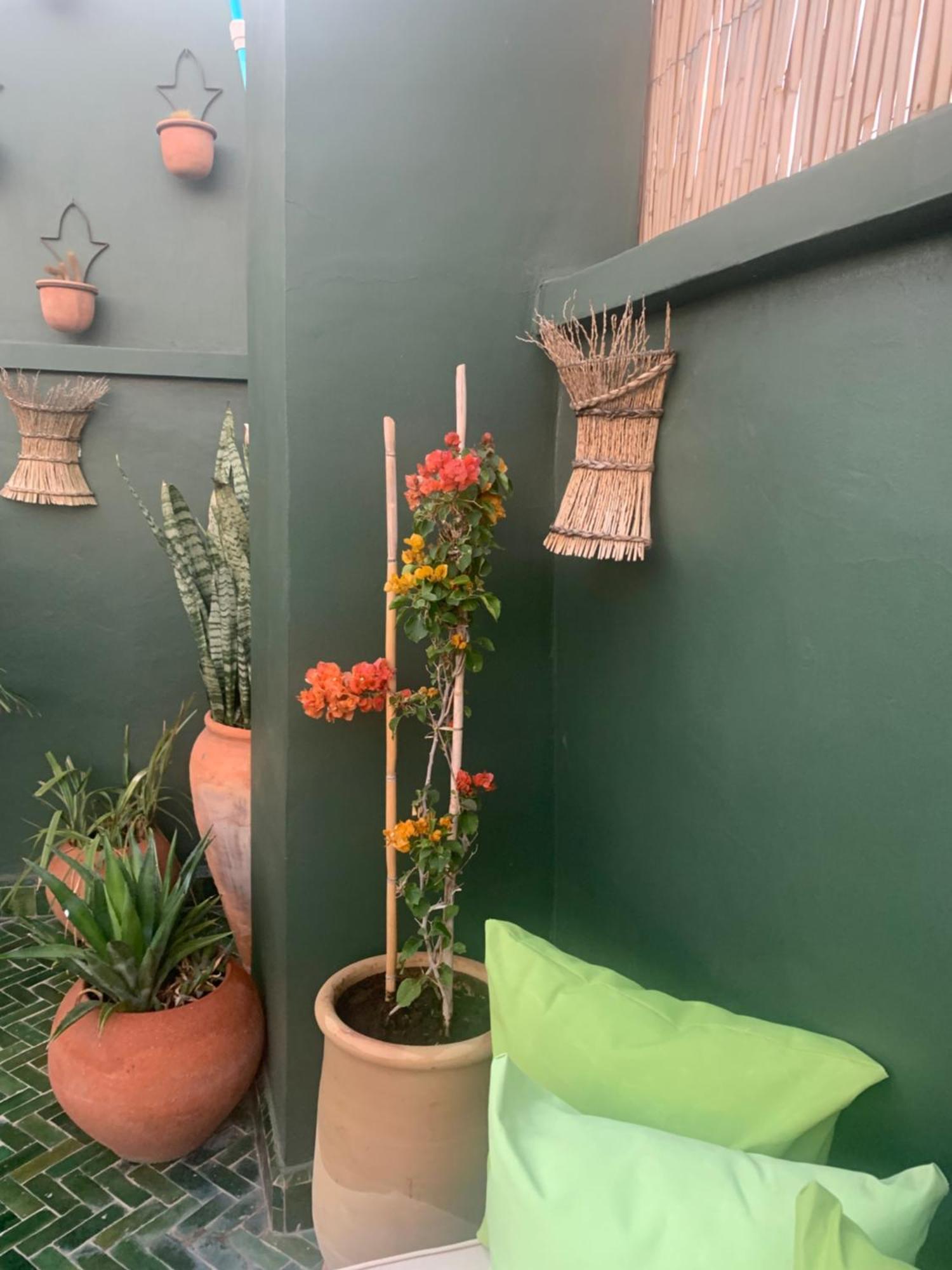马拉喀什 Riad Olive Privatif 4 Personnes酒店 外观 照片